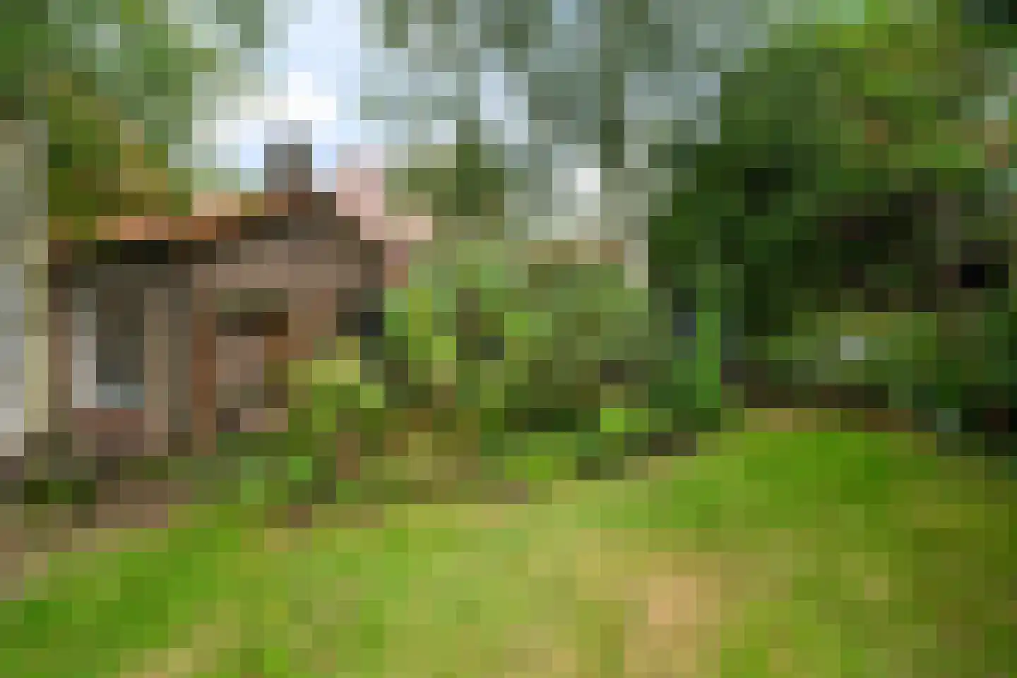 Torenlaan 2 A Ermelo thumbnail 49