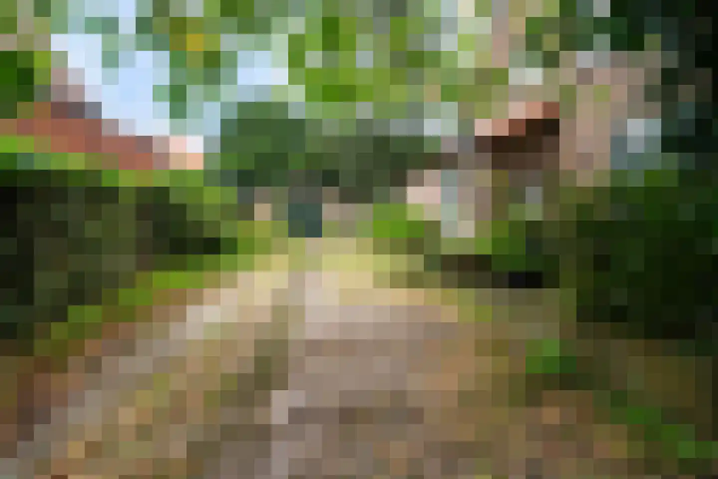 Torenlaan 2 A Ermelo thumbnail 50