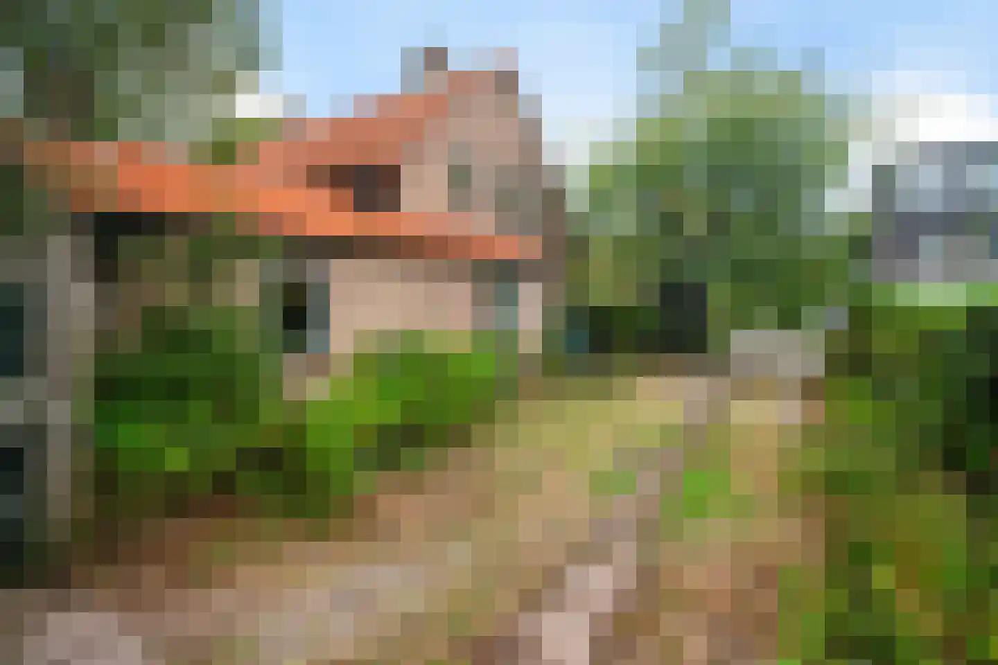 Torenlaan 2 A Ermelo thumbnail 51