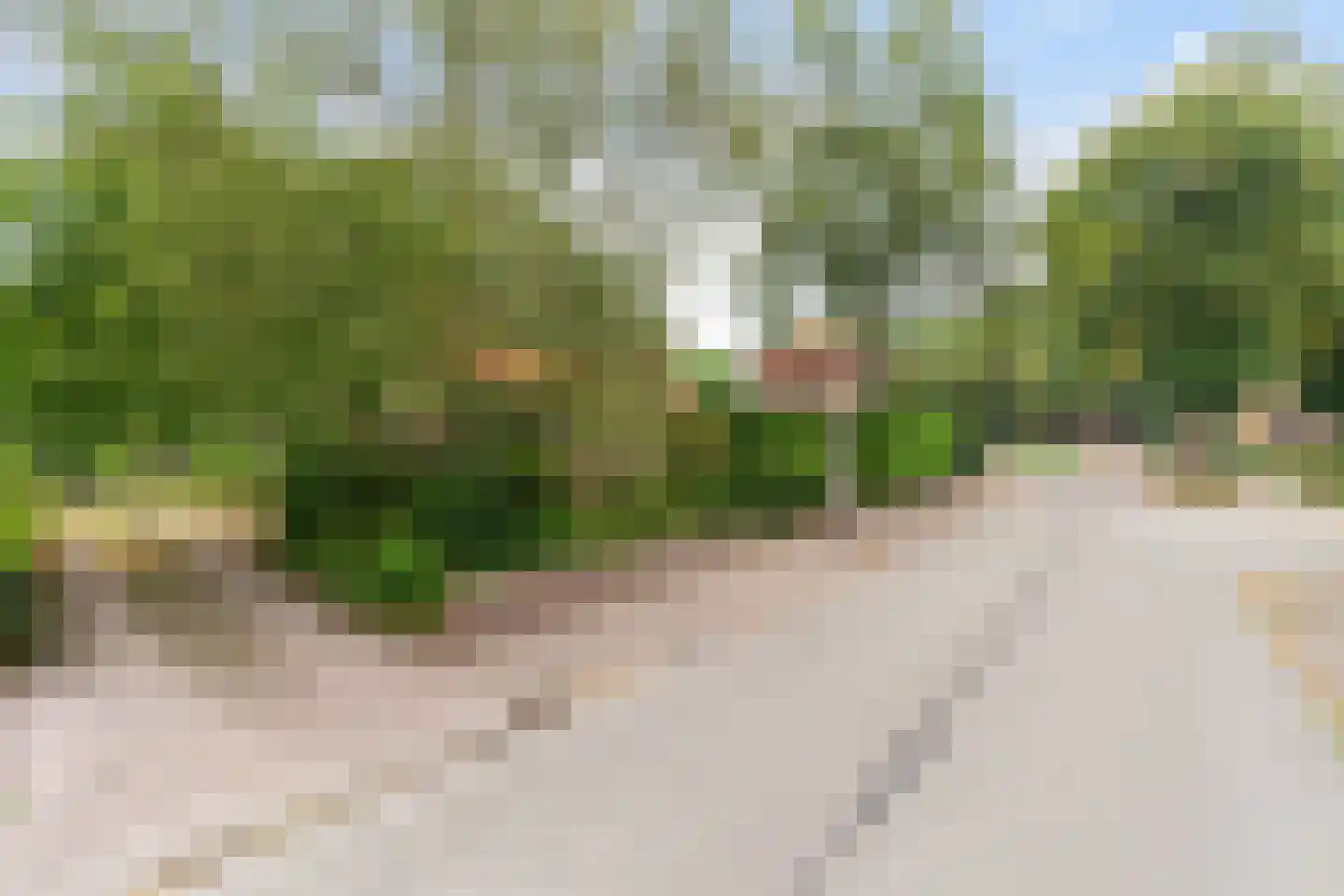 Torenlaan 2 A Ermelo thumbnail 52