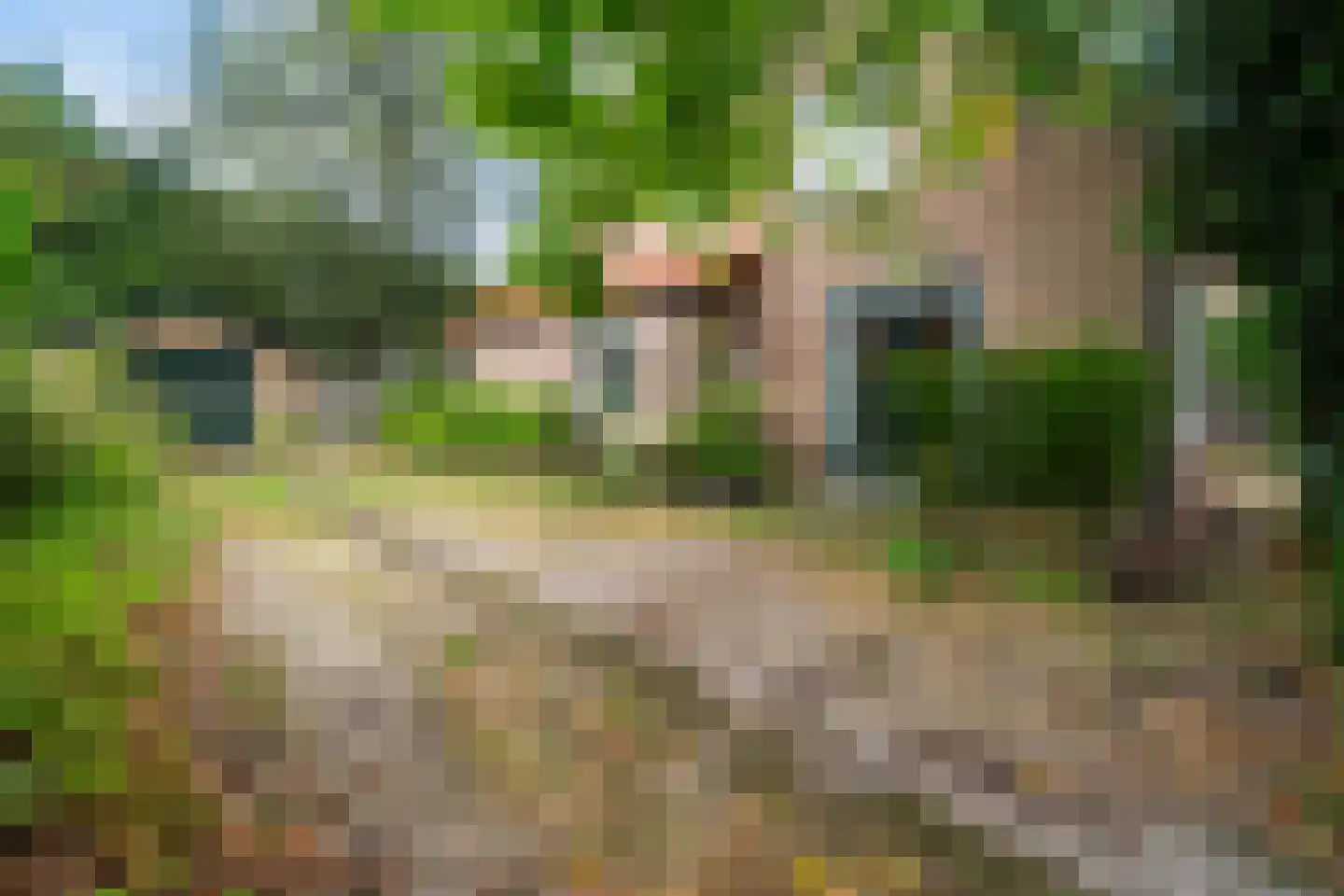 Torenlaan 2 A Ermelo thumbnail 6