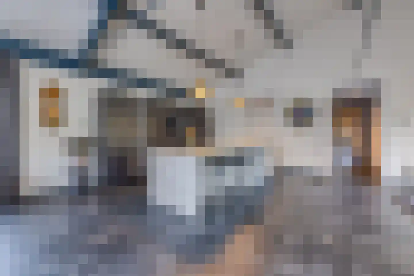 Torenlaan 2 B Borger thumbnail 10