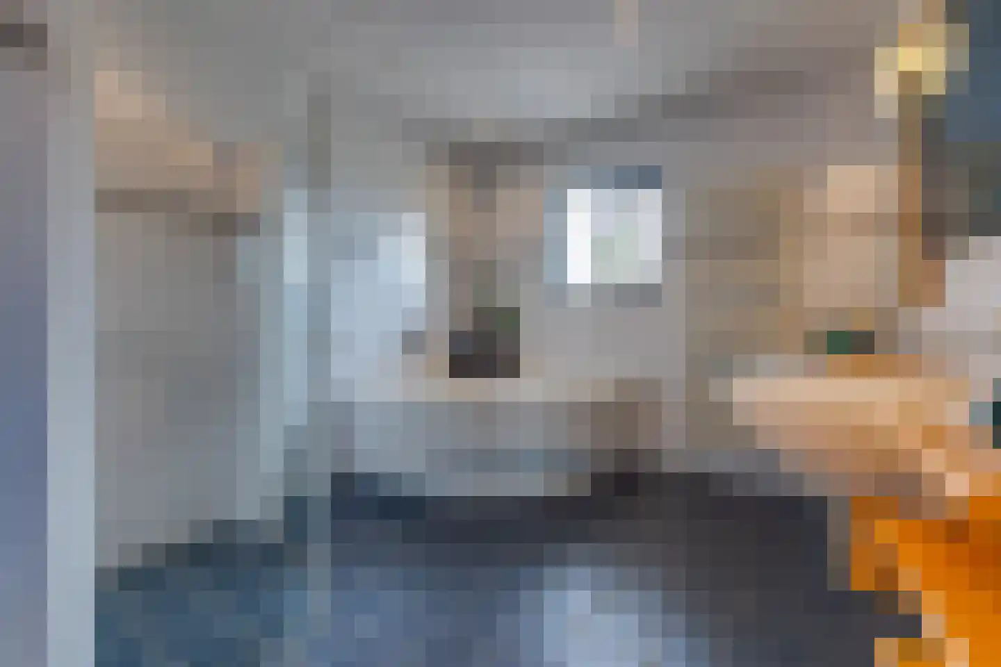 Torenlaan 2 B Borger thumbnail 24
