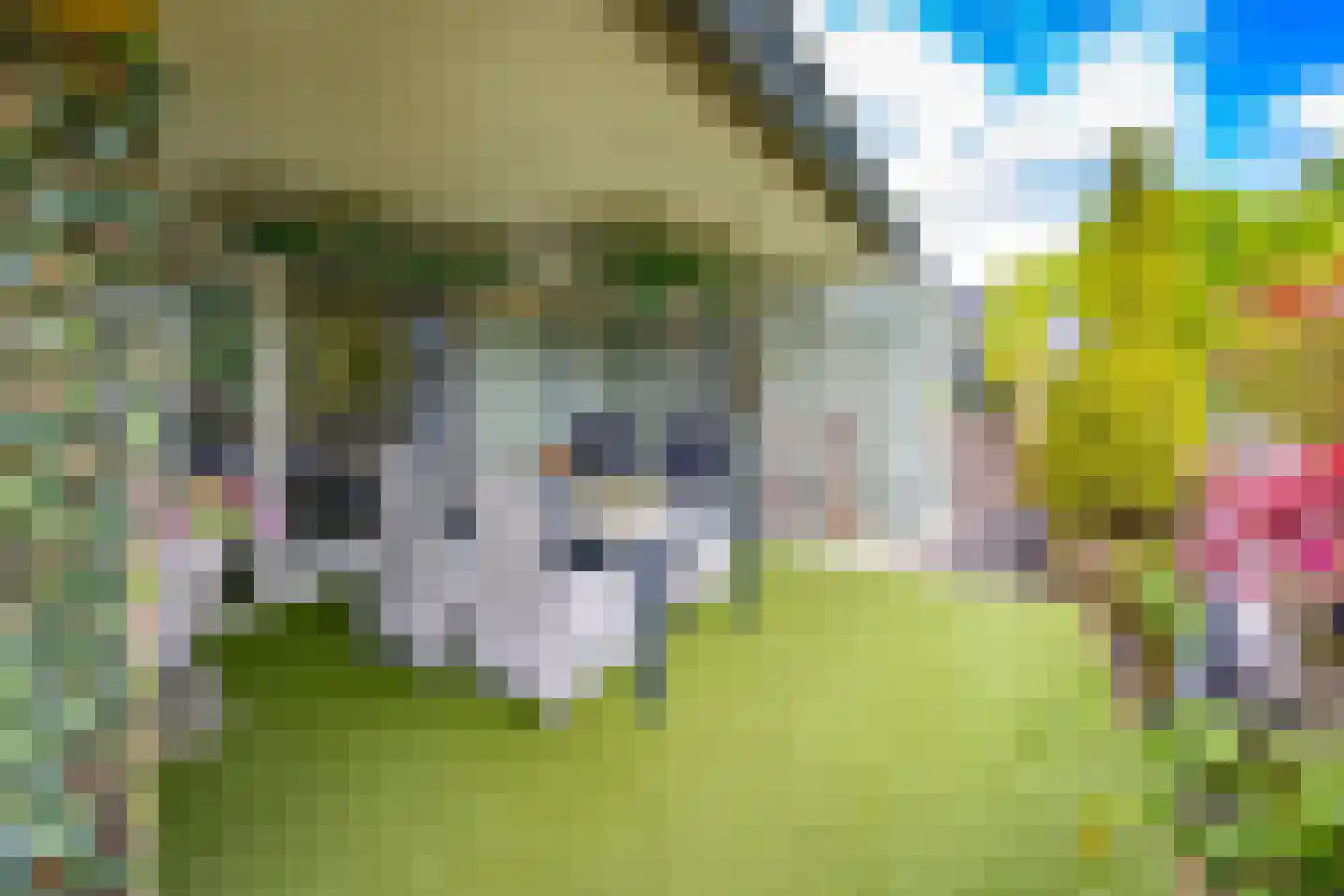 Torenlaan 2 B Borger thumbnail 32