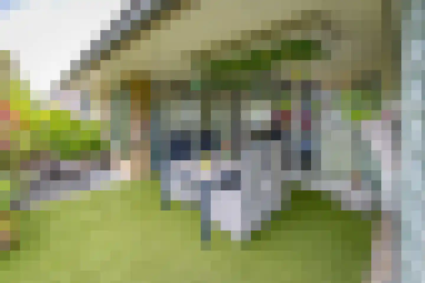 Torenlaan 2 B Borger thumbnail 33