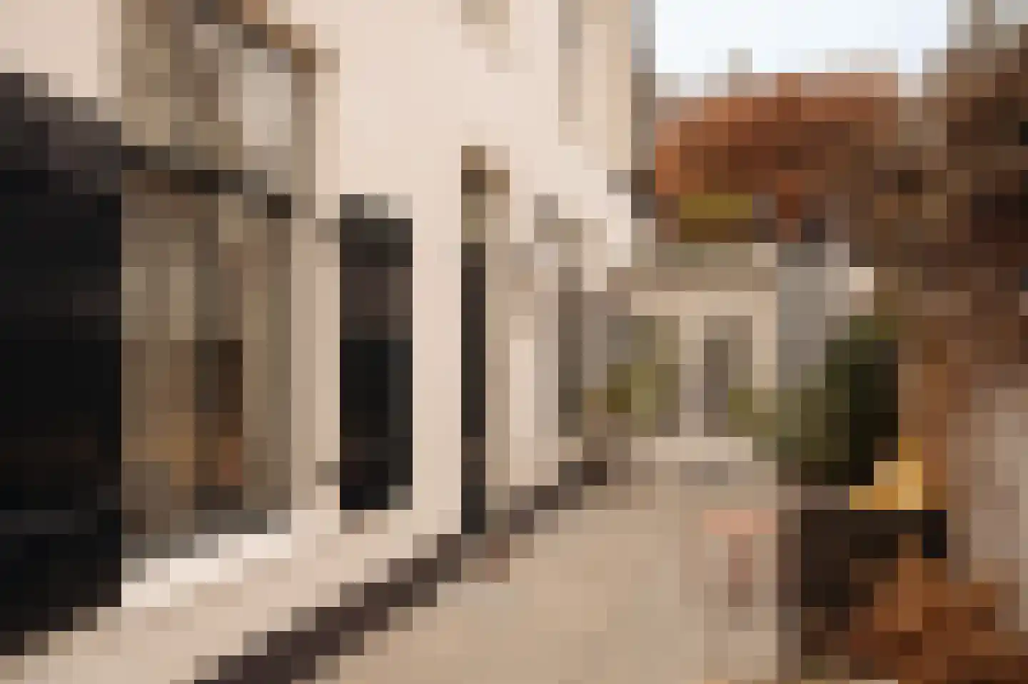 Torenlaan 2 Bussum thumbnail 10