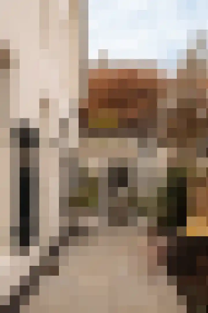 Torenlaan 2 Bussum thumbnail 11