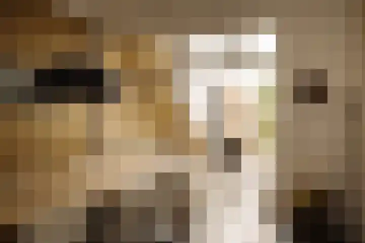 Torenlaan 2 Bussum thumbnail 19
