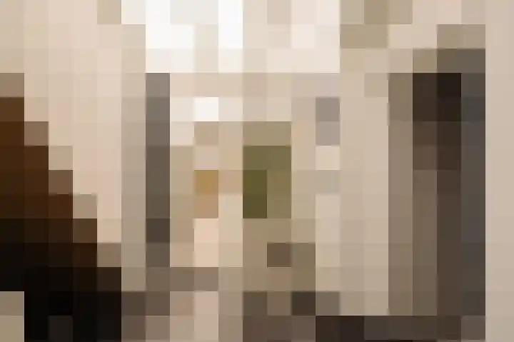 Torenlaan 2 Bussum thumbnail 20