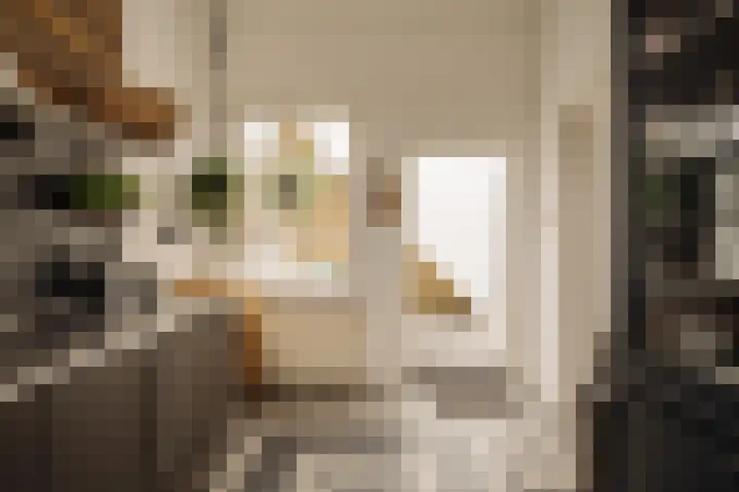 Torenlaan 2 Bussum thumbnail 24