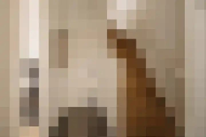 Torenlaan 2 Bussum thumbnail 32