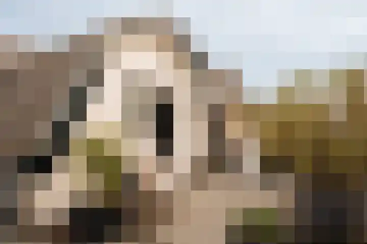 Torenlaan 2 Bussum thumbnail 4