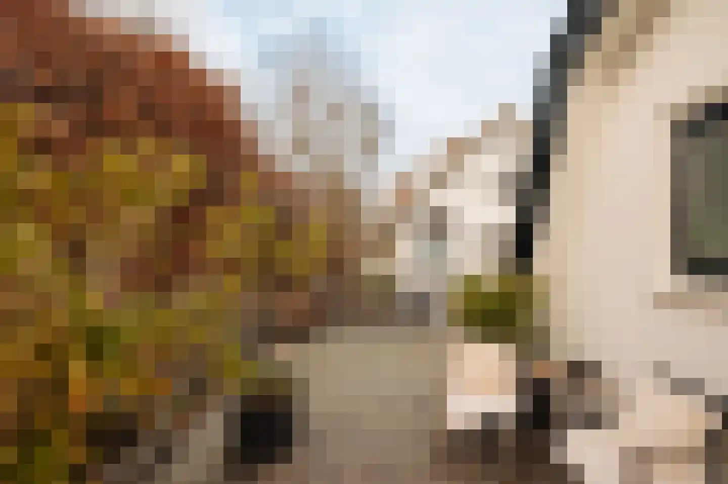 Torenlaan 2 Bussum thumbnail 43