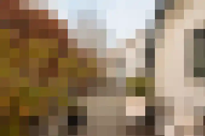 Torenlaan 2 Bussum thumbnail 43