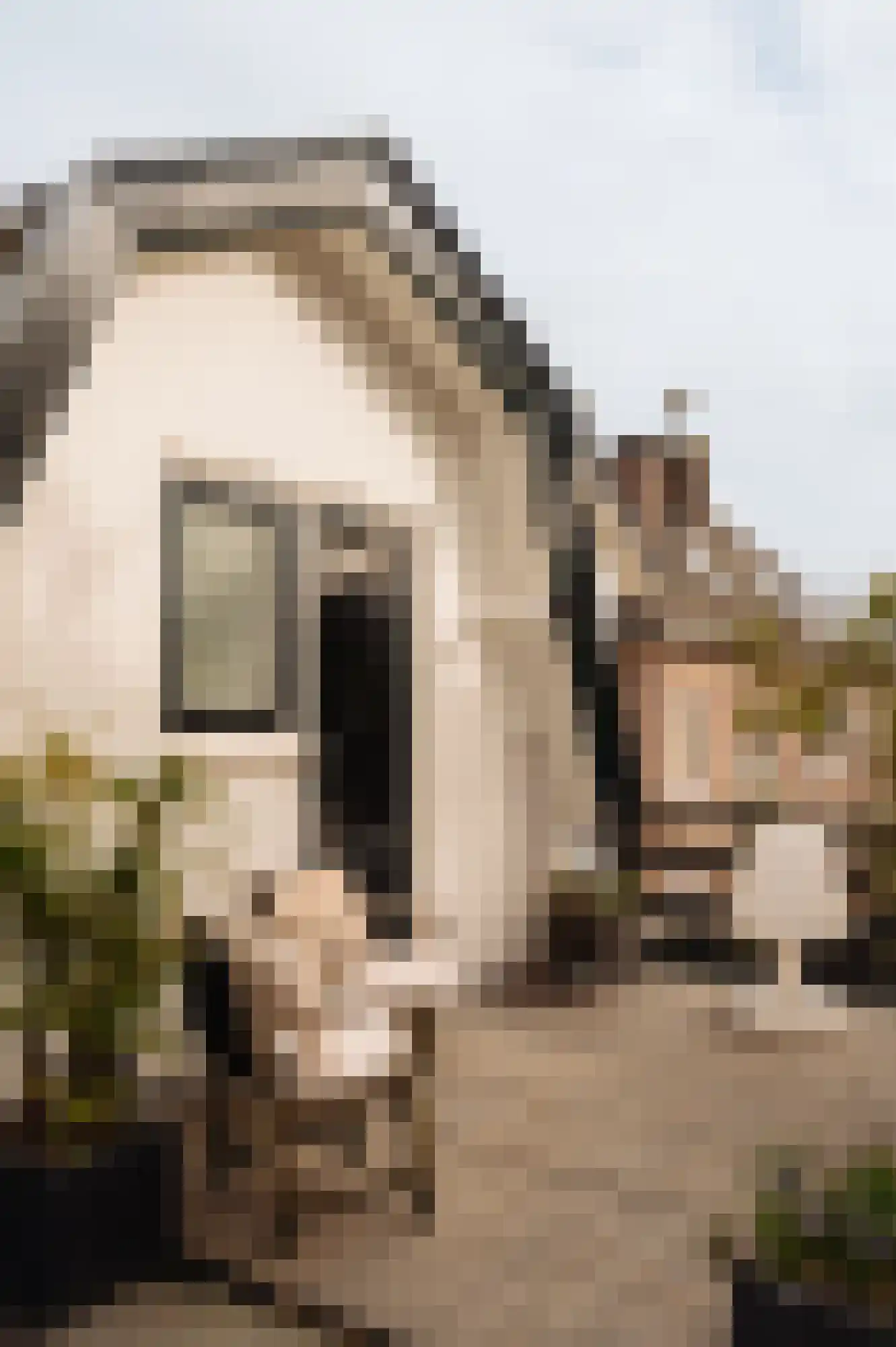 Torenlaan 2 Bussum thumbnail 44