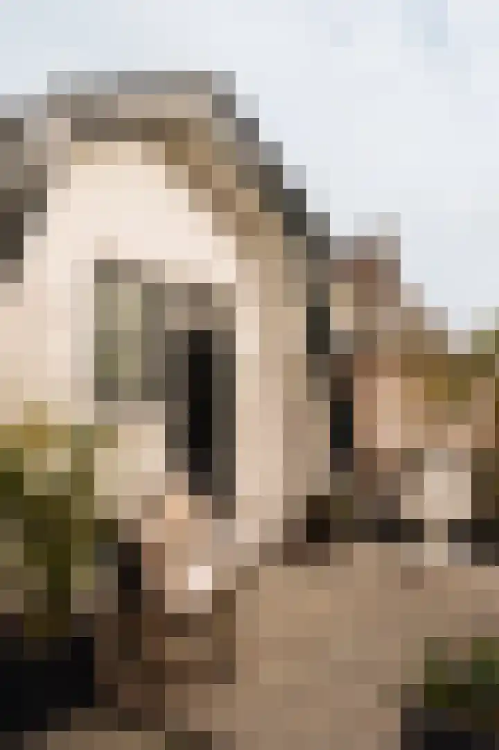 Torenlaan 2 Bussum thumbnail 44