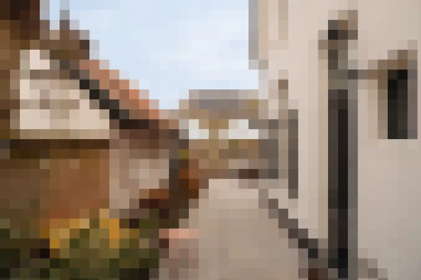 Torenlaan 2 Bussum thumbnail 46