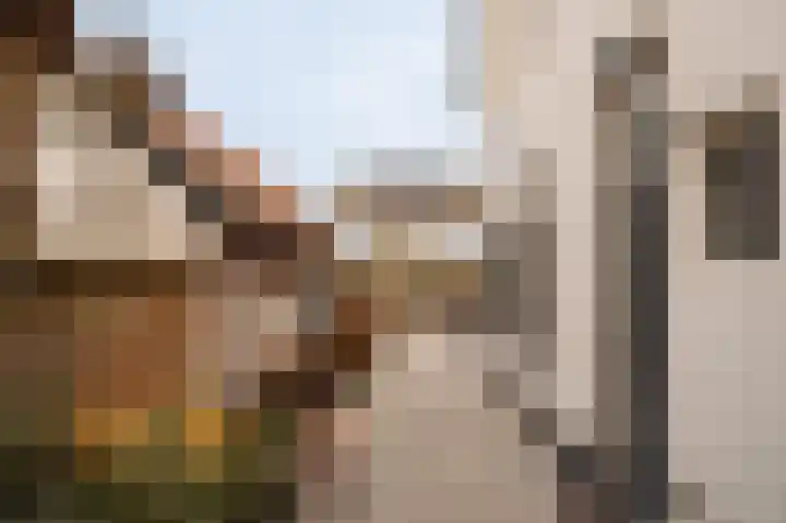 Torenlaan 2 Bussum thumbnail 46