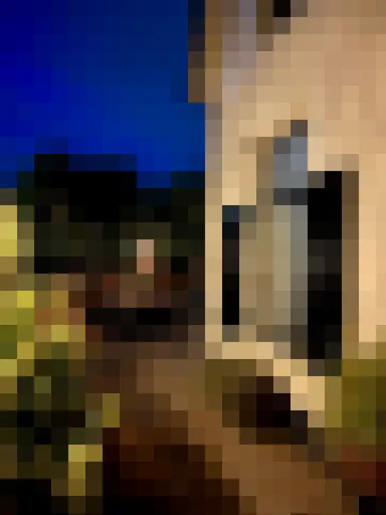 Torenlaan 2 Bussum thumbnail 48