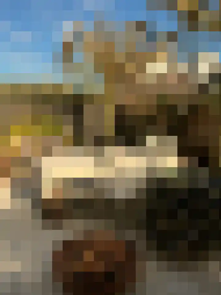 Torenlaan 2 Bussum thumbnail 49