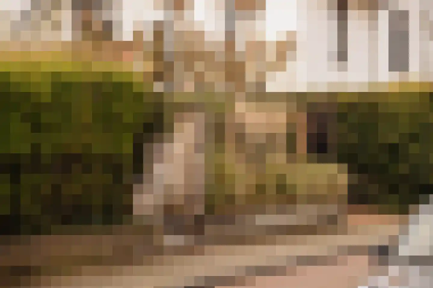 Torenlaan 2 Bussum thumbnail 5