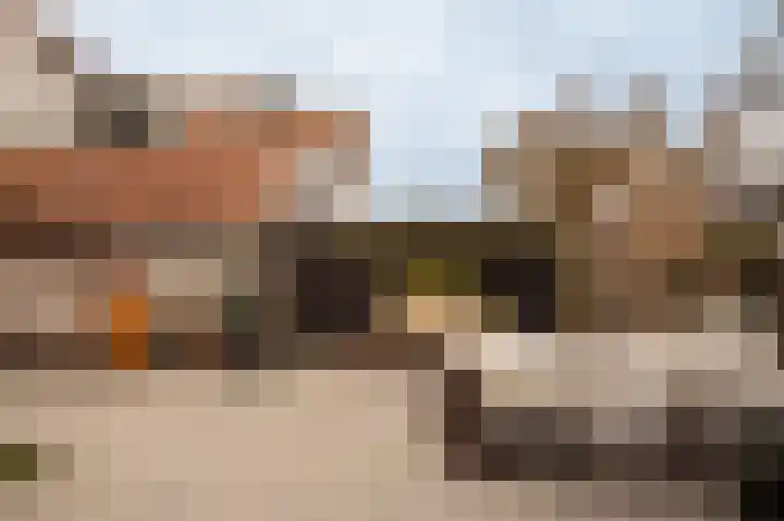 Torenlaan 2 Bussum thumbnail 7