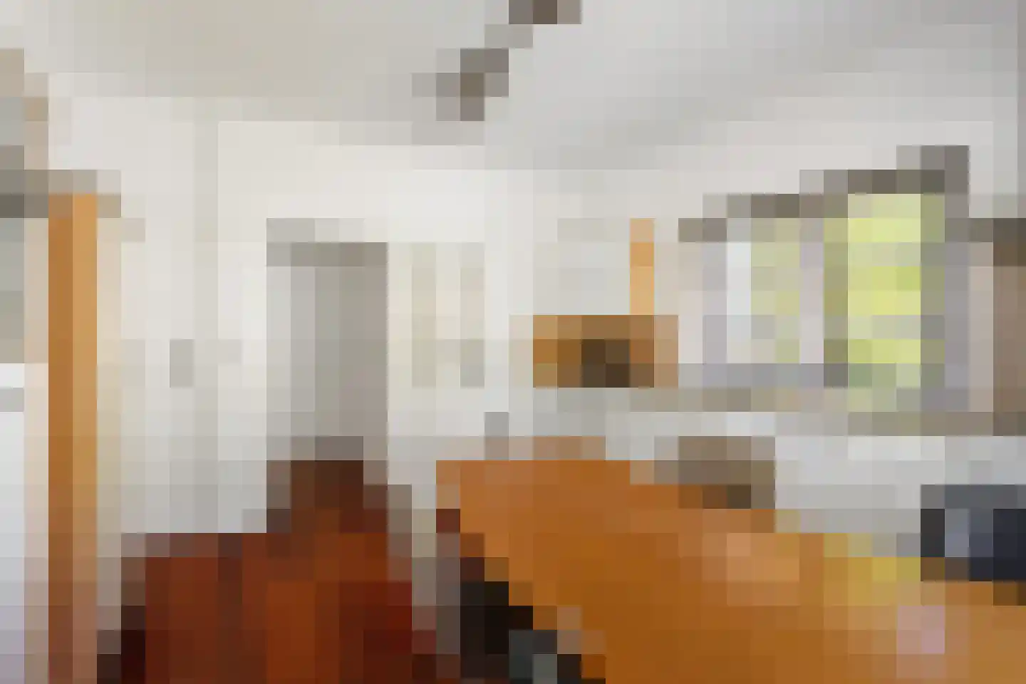 Torenlaan 2 Ermelo thumbnail 13