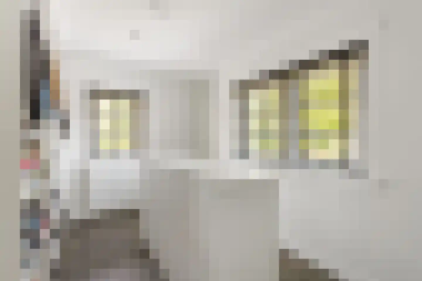 Torenlaan 2 Ermelo thumbnail 18