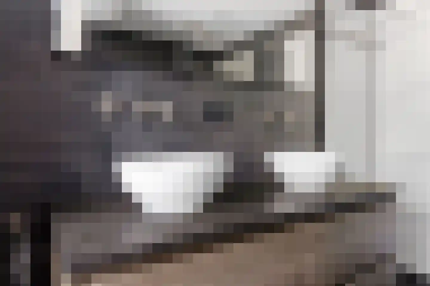 Torenlaan 2 Ermelo thumbnail 20