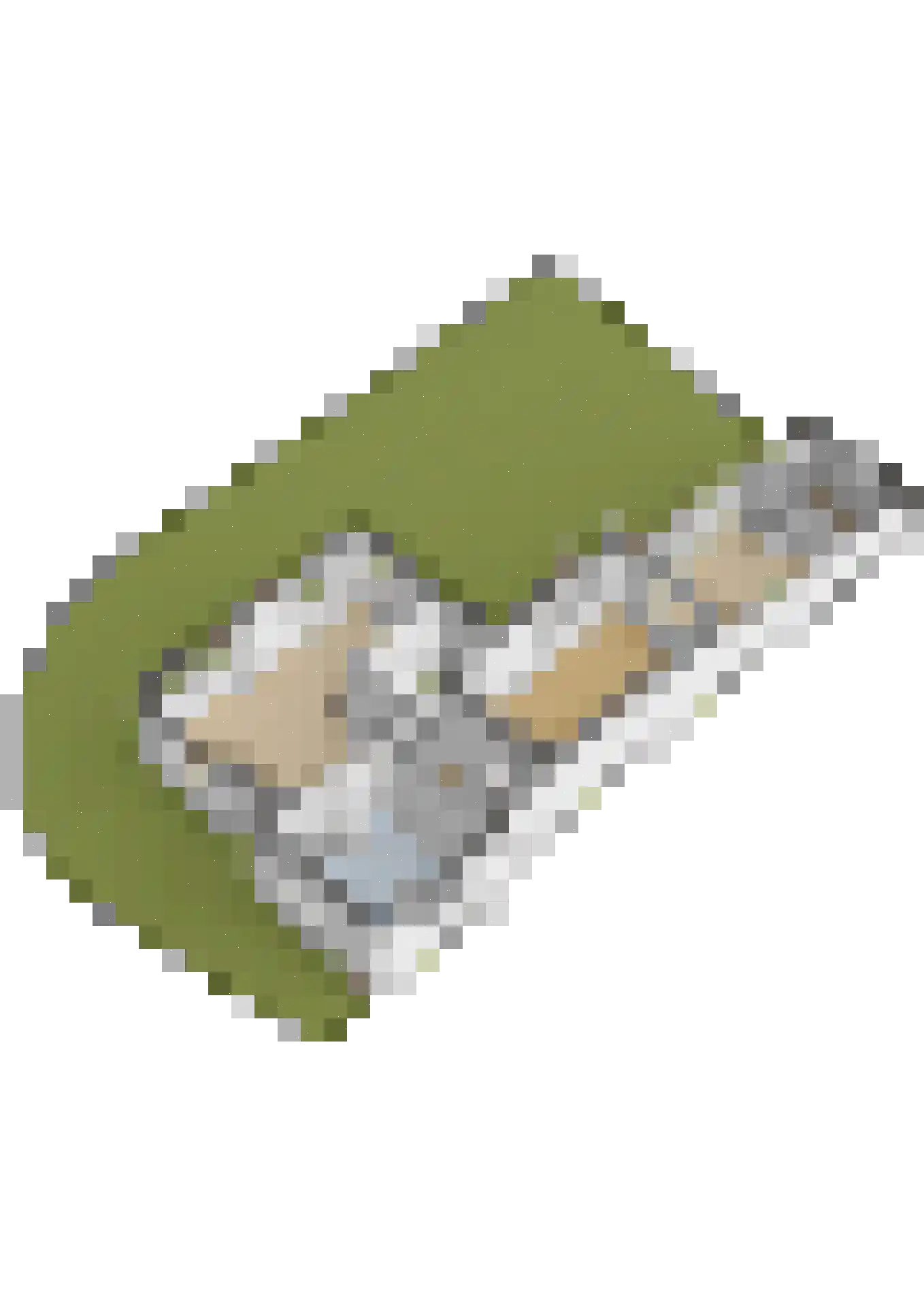 Torenlaan 2 Ermelo thumbnail 37