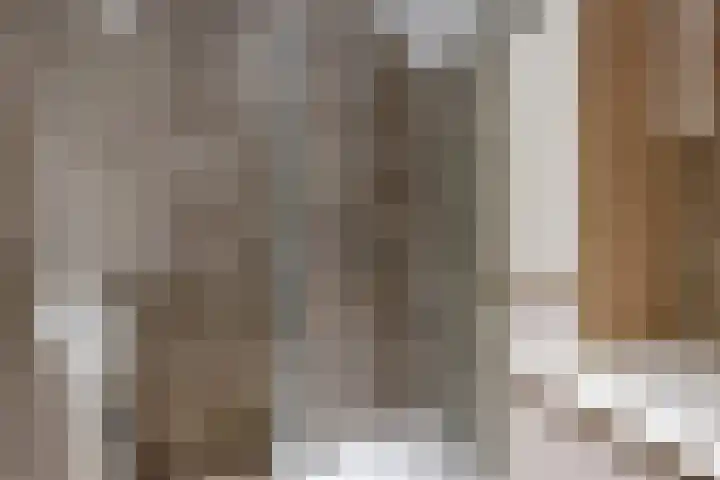 Torenlaan 2 Vledder thumbnail 12