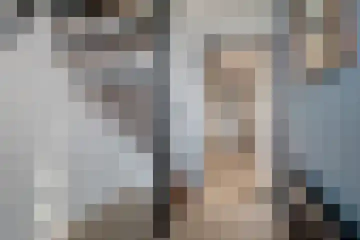 Torenlaan 2 Vledder thumbnail 14