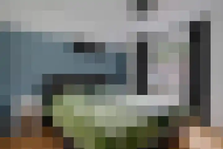 Torenlaan 2 Vledder thumbnail 17