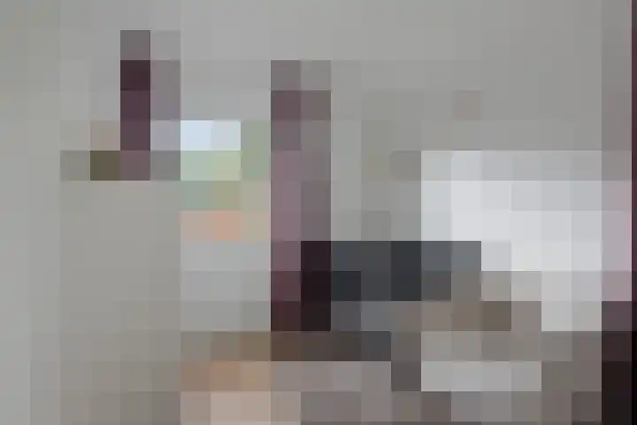 Torenlaan 2 Vledder thumbnail 19