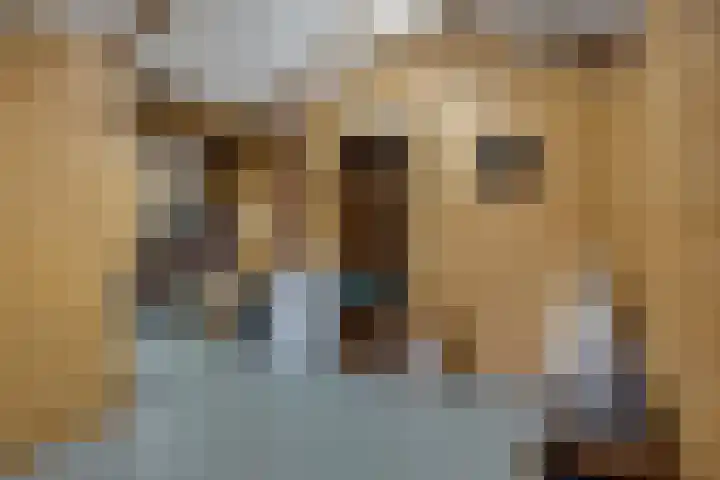 Torenlaan 2 Vledder thumbnail 25