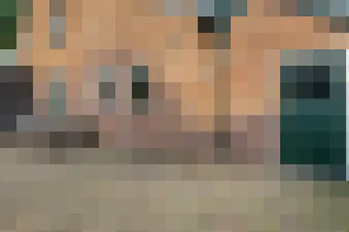 Torenlaan 2 Vledder thumbnail 26