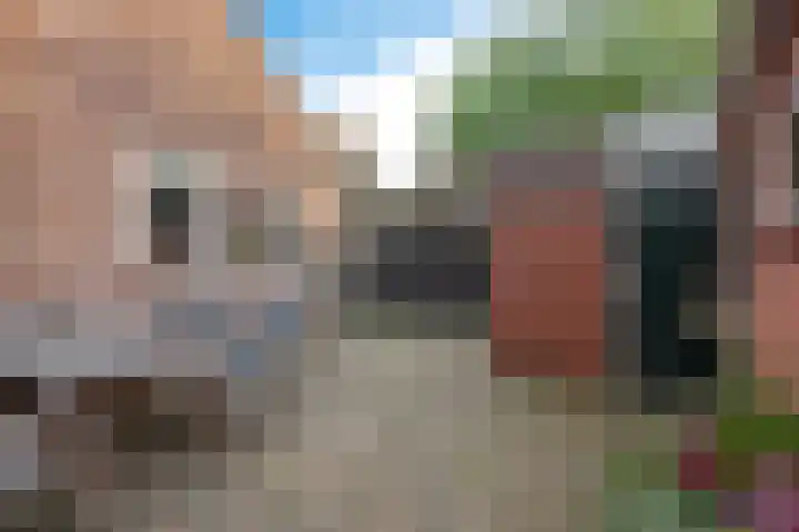 Torenlaan 2 Vledder thumbnail 27