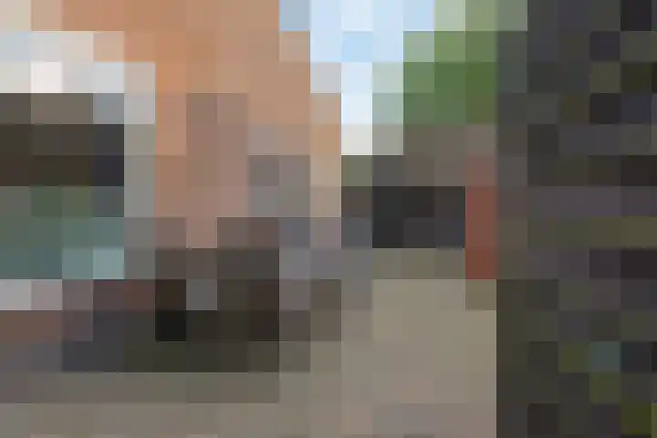 Torenlaan 2 Vledder thumbnail 28