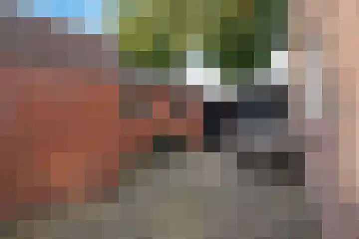 Torenlaan 2 Vledder thumbnail 29