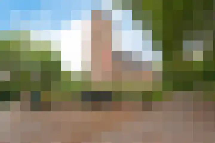 Torenlaan 2 Vledder thumbnail 32