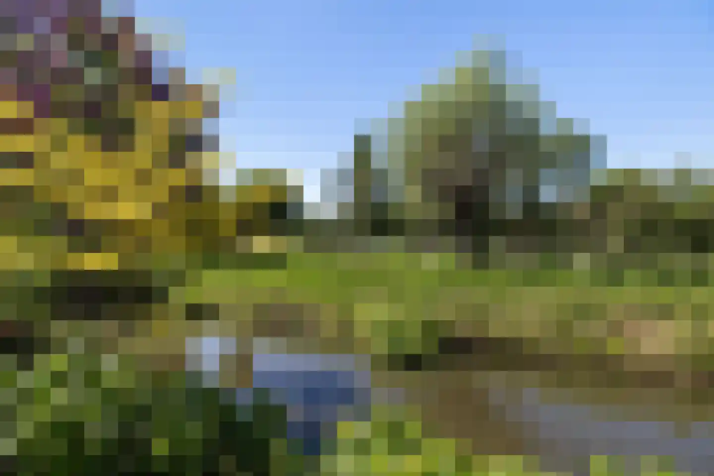 Torenlaan 20 Rotterdam thumbnail 27