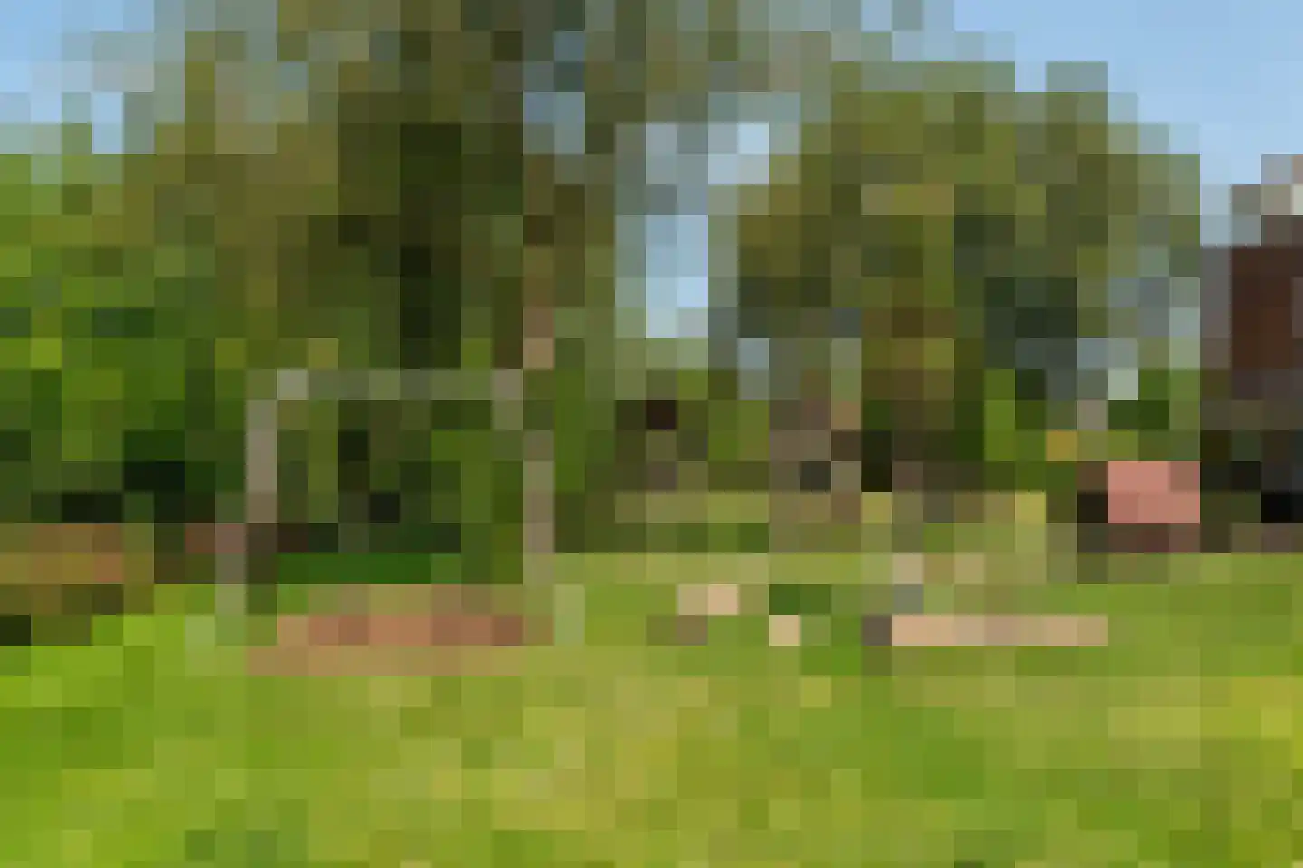 Torenlaan 20 Rotterdam thumbnail 30