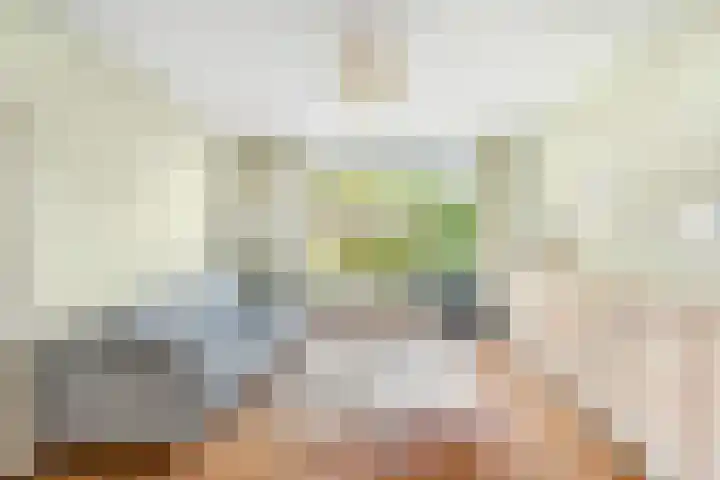Torenlaan 21 Putten thumbnail 14