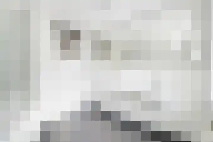 Torenlaan 21 Putten thumbnail 21