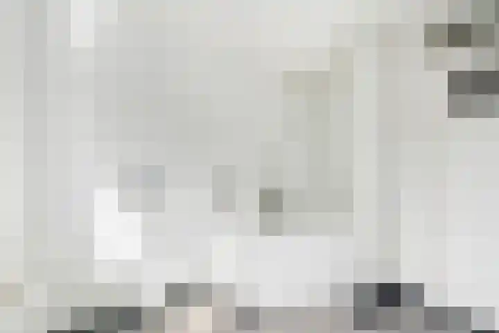 Torenlaan 21 Putten thumbnail 22