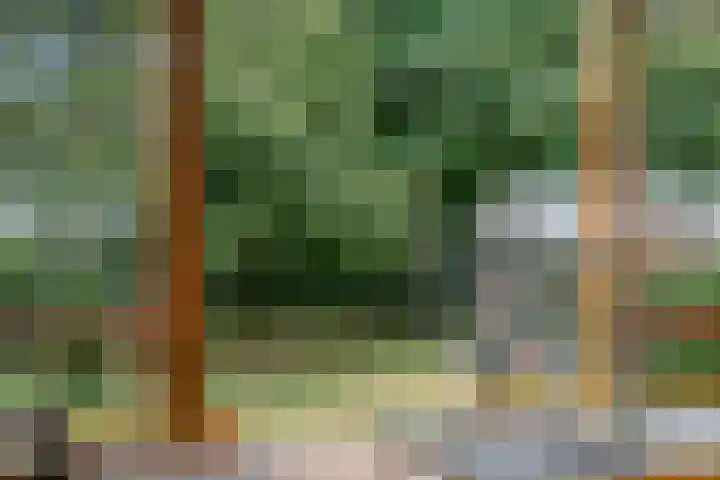 Torenlaan 21 Putten thumbnail 28
