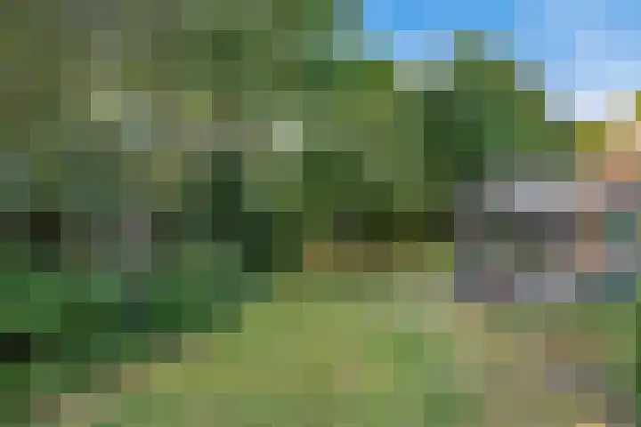 Torenlaan 21 Putten thumbnail 29