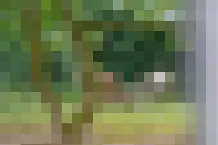 Torenlaan 21 Putten thumbnail 30