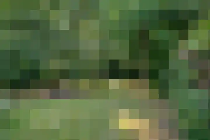 Torenlaan 21 Putten thumbnail 31