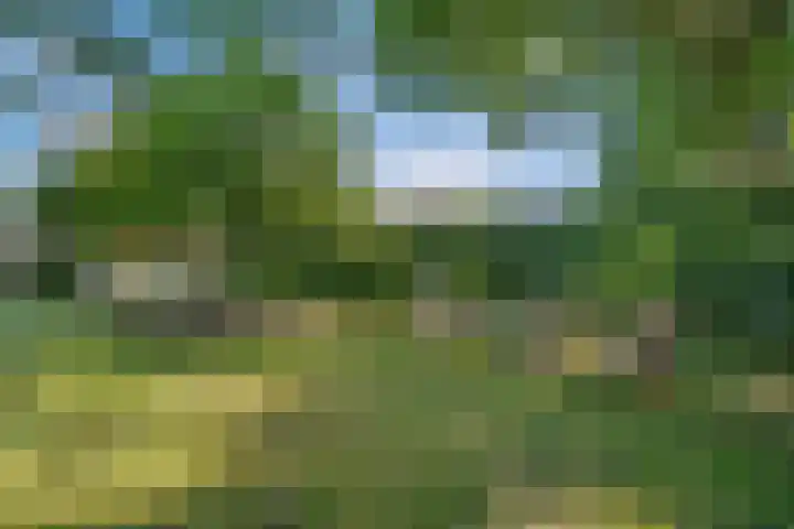 Torenlaan 21 Putten thumbnail 32